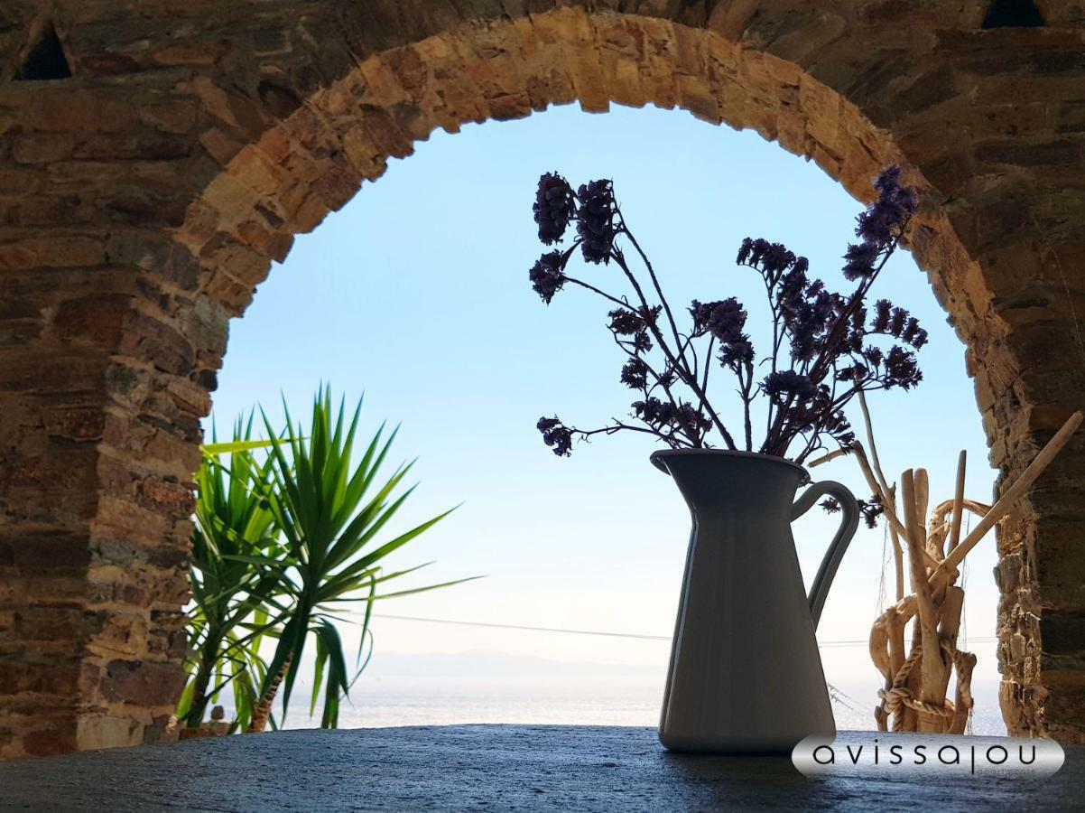 Avissalou Apartments Agios Romanos Екстер'єр фото